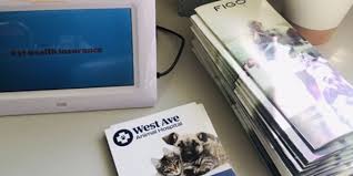Services animal healthcare center practices at 9835 lake worth road, lake worth, fl 33467. Veterinarian In Delray Beach Fl West Ave Animal Hospital