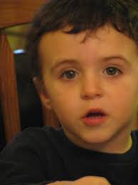 Genealogie " Danis " Genealogy