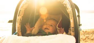 Vitamin D Fur Babys Und Kleinkinder Dr Schweikart Verlag