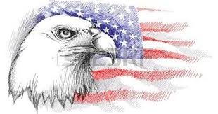 Sketch Of Bald Eagle Head On The Background With American Flag Flag Drawing American Flag Drawing American Flag Art