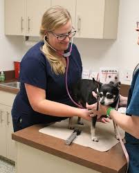 714 60th st ct e, bradenton, fl 34208, usa address. Humane Society Of Manatee County Wellness Services Humane Society Of Manatee County