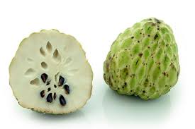 Salah satu manfaat buah naga merah yang dapat dirasakan secara jangka panjang adalah mencegah terjadinya osteoporosis atau pengeroposan tulang. 1001 Khasiat Buah Nona Yang Makin Dilupakan Generasi Kini Impiana