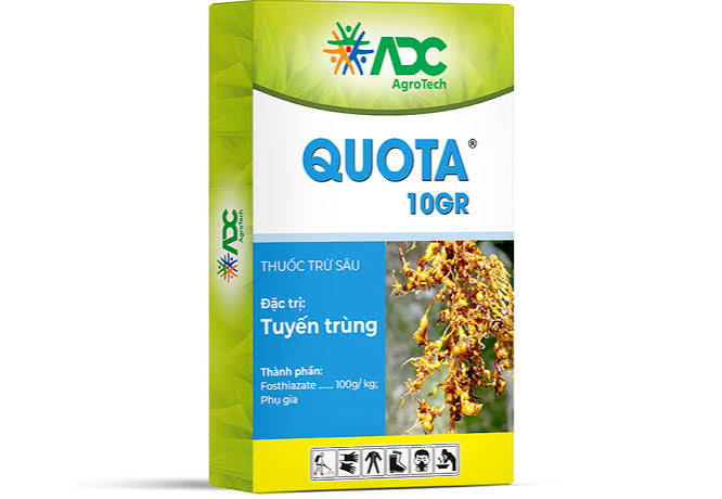 Quota 10GR