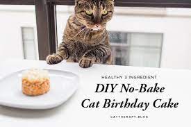 Diy No Bake Cat Birthday Cake Birthday Cake For Cat Homemade Cat Food Cat Treats Homemade