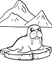 High Quality Walrus Easy Coloring Page To Print For Free Easy Coloring Pages Coloring Pages Fish Coloring Page