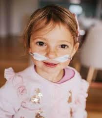 Southern Peninsula News 27th November 2024 by Mornington Peninsula News  Group