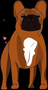 We did not find results for: Bulldog Love Gifs Get The Best Gif On Giphy