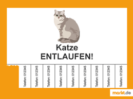 Verteilen sie ihre suchplakate auch bei tierärzten, tierheimen und in. Katze Entlaufen Massnahmen Suchflyer Vorbeugung Markt De