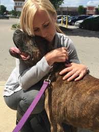 We are devastated by this news. Holistic Treatments For Canine Cancer A List Of Supplements For Dogs With Cancer Herbs For Dogs With Cancer And Food For Dogs With Cancer The Dog Guide