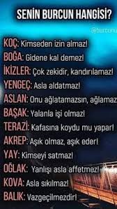Astroloji rehberimizle başak burcu kadını özelliklerini daha iyi öğreneceksiniz. Burclar Icin 610 Fikir Burclar Burc Bilgileri Balik Burcu
