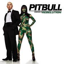 Check spelling or type a new query. Pitbull Hotel Room Service Songtext Musixmatch