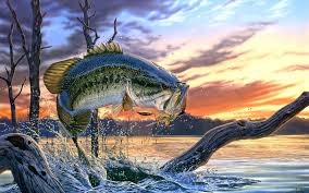 Bass Fishing Wallpaper Fish Wallpaper Largemouth Bass Fishing Fishing Pictures