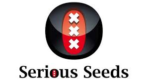 Our online marijuana seed bank has been in operation since 2001. Best Dutch Cannabis Seed Banks