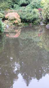 The Kubota Gardens Are A Spectacular Setting Of Hills And Valleys Interlaced With Streams Waterfalls Ponds Brid Japanese Garden Garden Images Garden Bridge