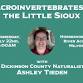 Macroinvertebrates of the Little Sioux with Ashley Tieden