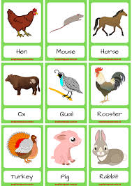 Farm And Wild Animals Flashcards Animal Flashcards Farm Animals Animals