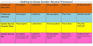 gender neutral pronouns shouldnt be a big deal the