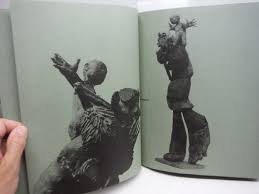 Bildergebnis für Roel D'Haese