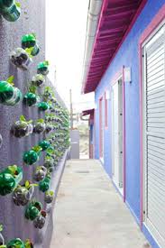 Adhere the bottles to a wooden frame and arrange them. Diy Vertical Gardening The Dirt