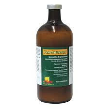 Image result for Penicillin