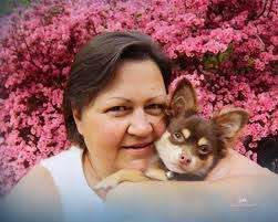 Laurel Wise's Instagram, Twitter & Facebook