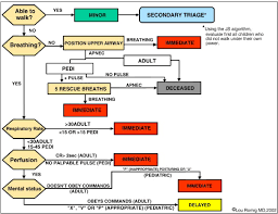 Image result for JumpSTART Triage