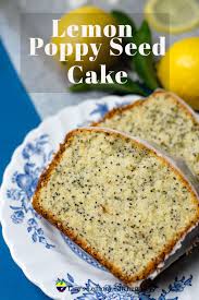 Poppy seed is an oilseed obtained from the opium poppy (papaver somniferum). 36 Lisa S Lemony Kitchen Videos In 2021 Malaysian Food Recipes Food