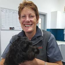 We did not find results for: Meet Our Team Allpets Veterinary Clinic