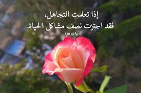 جمل عن التجاهل ليدي بيرد