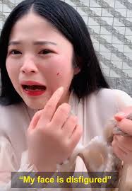 Octopus Attacks Woman That Tried To Eat It Alive Bored Panda