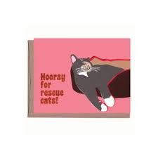 These could be the best safe house ideas for pets and homeless animals. Dog With Cone Get Well Card Faire Com