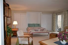All you need to do is install one of the best murphy beds. Basement Murphy Bed Houzz