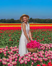 Before departure back to amsterdam one. Blog Visit Tulip Fields In Holland