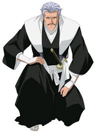 Bleach's gotei 13 i wanted to put all the squads together with their numbers, symbols and colors. What Are The Names Of The 13 Court Guard Squad Captains In Bleach Quora