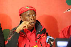 Julius malema, south african politician known for his fiery outspoken nature and inspiring oratory. Julius Malema And Eff Prepared To Take Zuma To Court Citypress