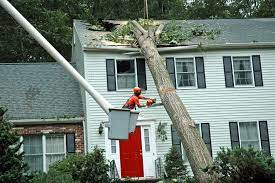 Charles Tree Services Sydney Is Available 24 7 For Emergency Tree Services As We Know The Significance Of Suc Tree Service Tree Removal Emergency Tree Removal