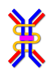 Maybe you would like to learn more about one of these? Nefropatia Por Iga Wikipedia La Enciclopedia Libre