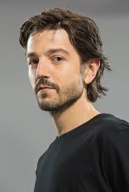Diego Luna (Creator)