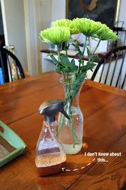 Check spelling or type a new query. How To Keep Cats Out Of House Plants And Cut Flowers The Creek Line House