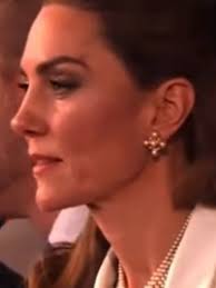 good evening Catherine Elizabeth Middleton #royalfamily #KateMiddleton  #QueenOfHearts