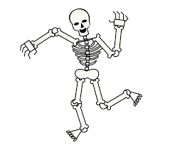 We did not find results for: How To Draw A Skeleton Easy Drawing Guides