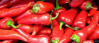 We did not find results for: L Estate Nell Orto Tipi Di Peperoni Agrodolce