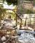 Log Cabin Wedding