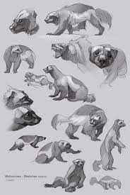 Maybe you would like to learn more about one of these? Zebrafeet S Art Animal Drawings Animal Sketches Wolverine Animal