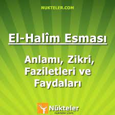 el halim esmasinin anlami zikri ve fazileti sifa duasi saglikli yasam ve dualar