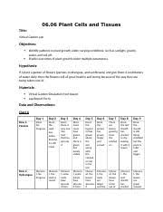 Check spelling or type a new query. 06 06 Plant Cells And Tissues Docx 06 06 Plant Cells And Tissues Title Virtual Garden Lab Objectives Identify Patterns In Plant Growth Under Varying Course Hero