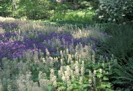 Get free shipping on qualified deer resistant, full shade perennials or buy online pick up in store today in the outdoors department. Gardening In Shade Choose From A Smart Plant Palette Msu Extension