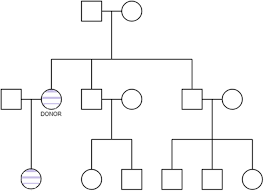 Paul has syndactyly, as do his three brothers. Lowe Syndrome Identified In The Offspring Of An Oocyte Donor Who Was An Unknown Carrier Of A De Novo Mutation A Case Report And Review Of The Literature Journal Of Medical