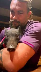 Posting forMihaela Piper She said “Cheers 🍻Happy Momoa Thursday  everyone❤️🤙🏼