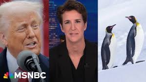 Jill Fortin- Si tu m'aimais encore